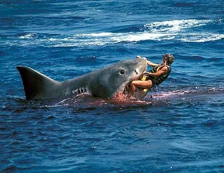 hungry shark evolution cheats apk