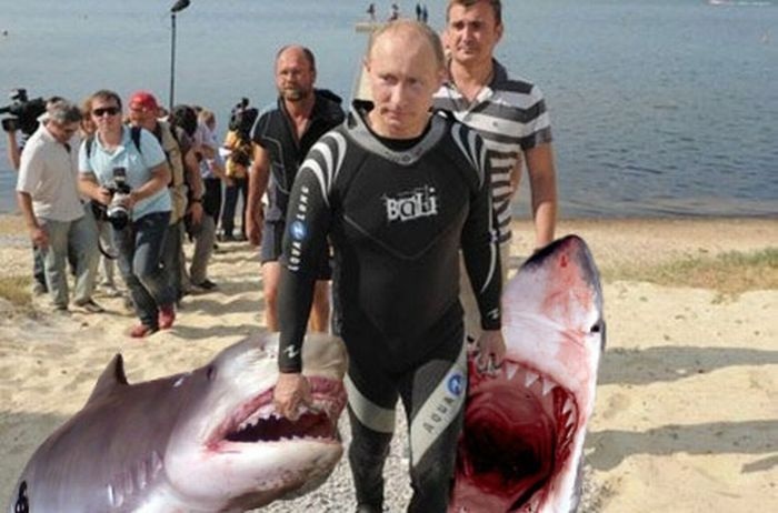http://surftweeters.com/wp-content/uploads/2011/08/Putin-the-great-white-shark-killer.jpg