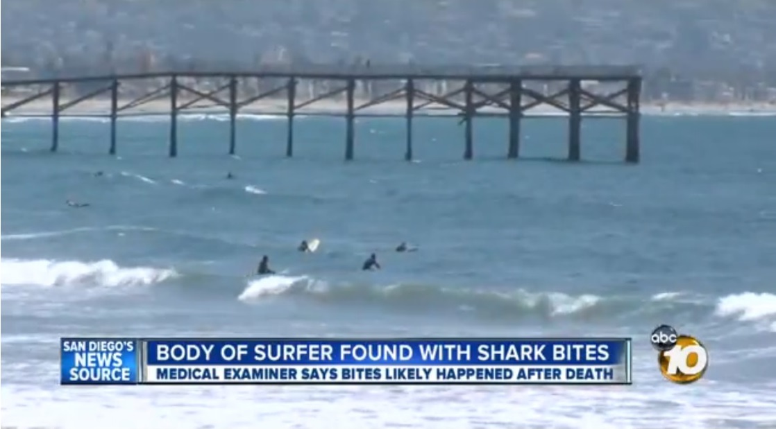 UPDATE: Dead naked surfer with apparent shark attack wounds washes up