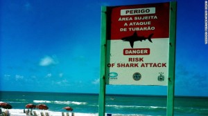 130723184240-shark-warning-brazil-story-top